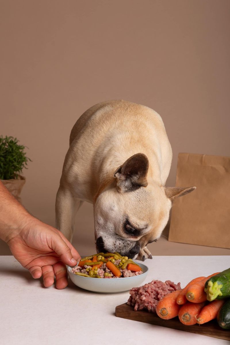 Good Appetite