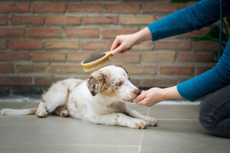 Gentle Grooming