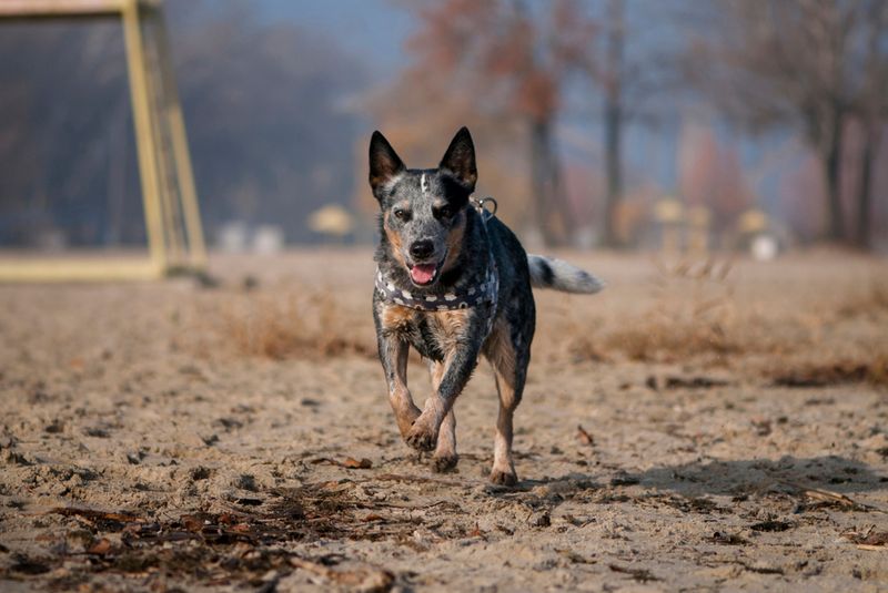 Resilient Personality