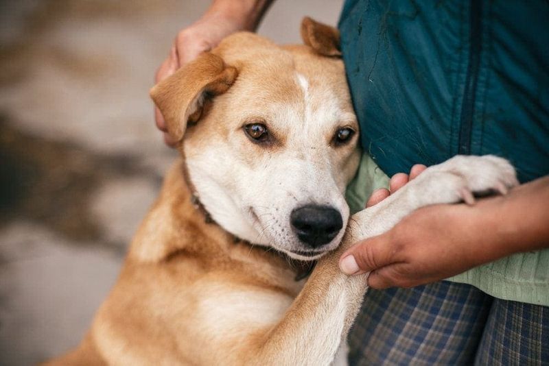 Empathy and Understanding