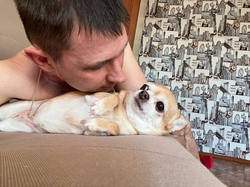 Chihuahua