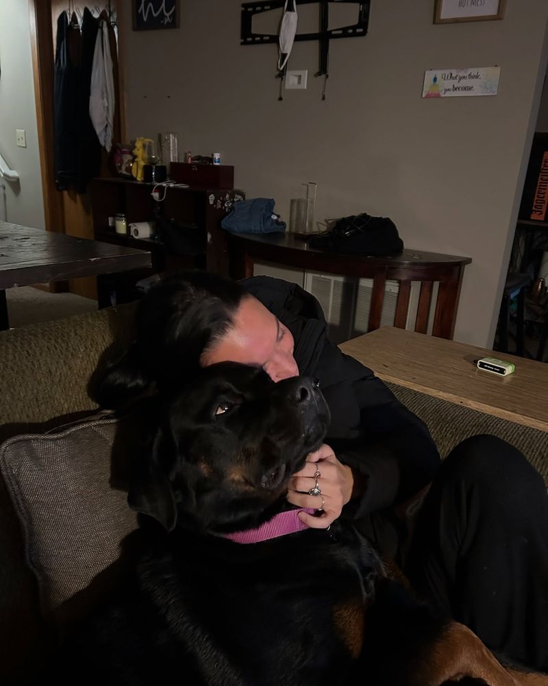 Rottweiler