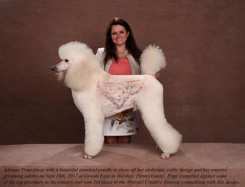 Poodles' Artistry in Grooming Contests