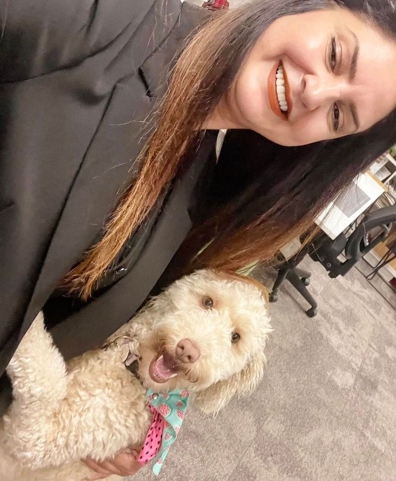 Poodles' Loyalty and Devotion
