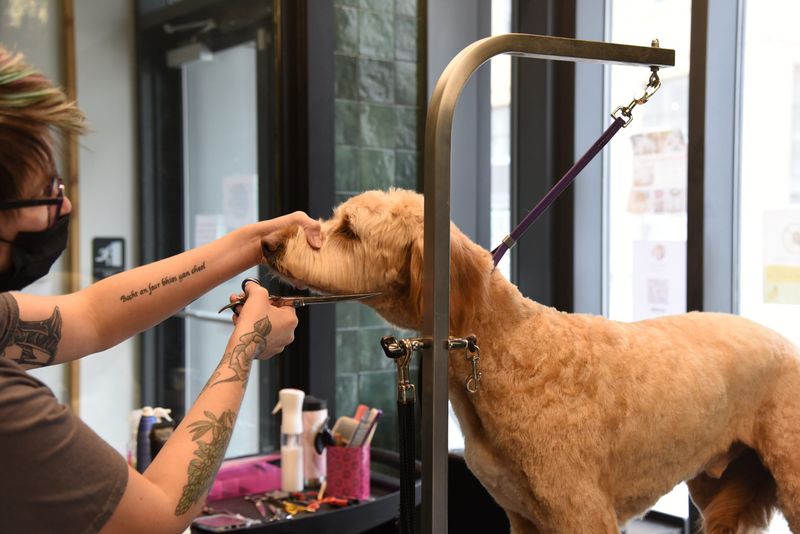 Inconsistent Grooming Needs