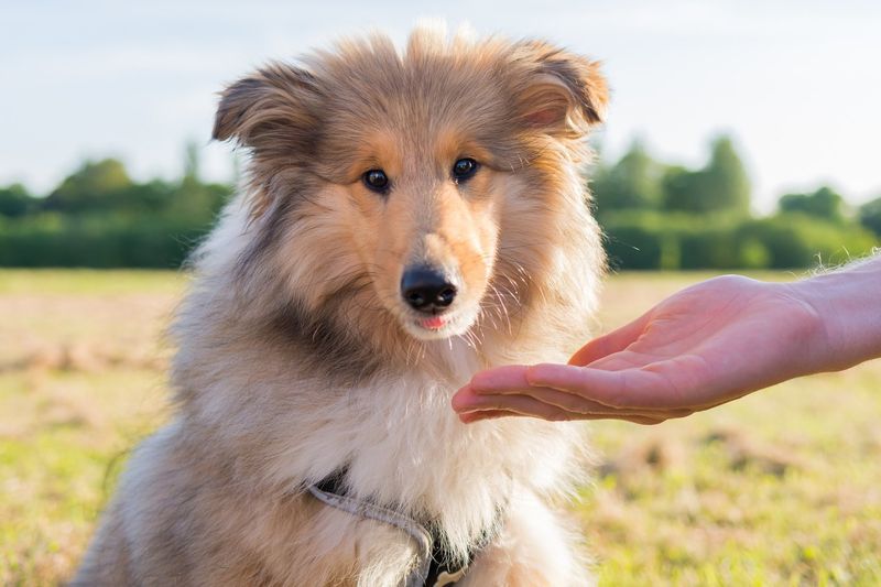 Use Comforting Scents