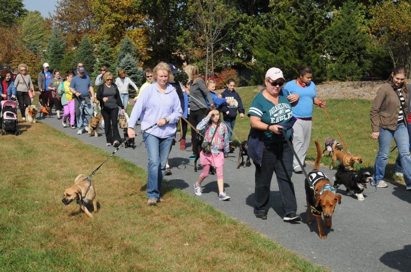 Attend Community Events