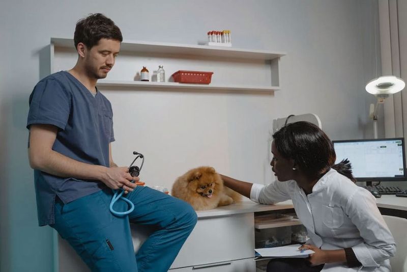 Contact a Veterinarian