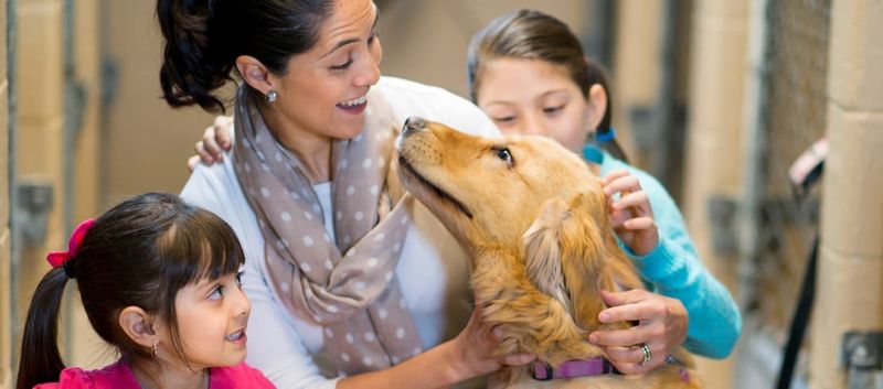 Consider Future Pets
