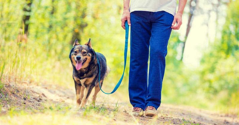 Mind the Leash