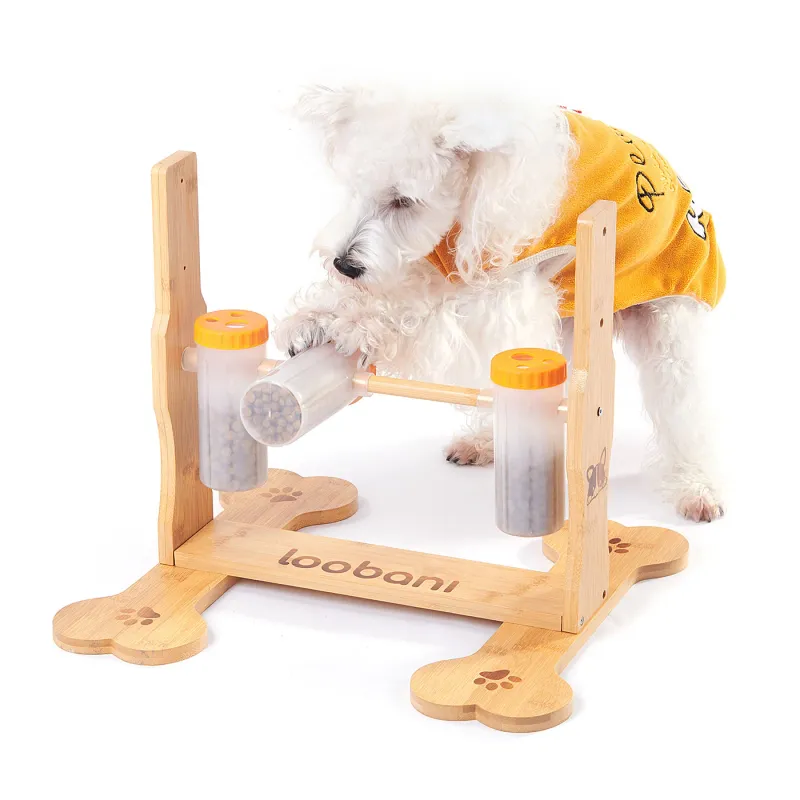 Interactive Toys and Puzzles