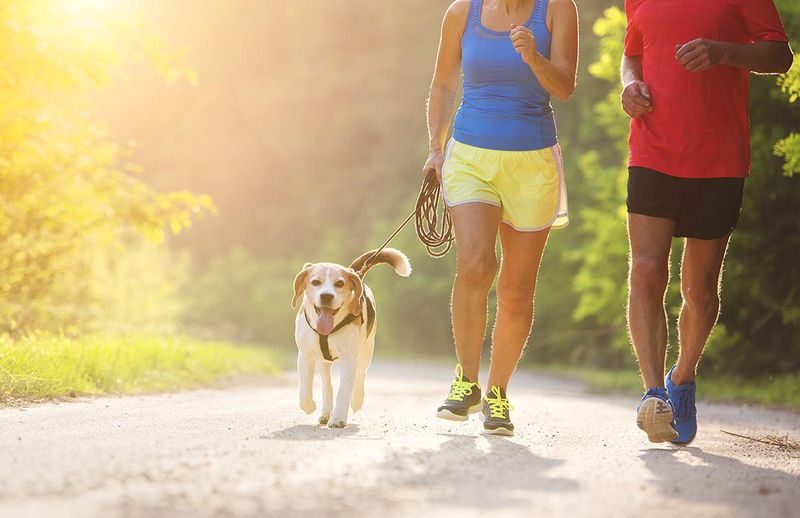 Engage in Regular Exercise