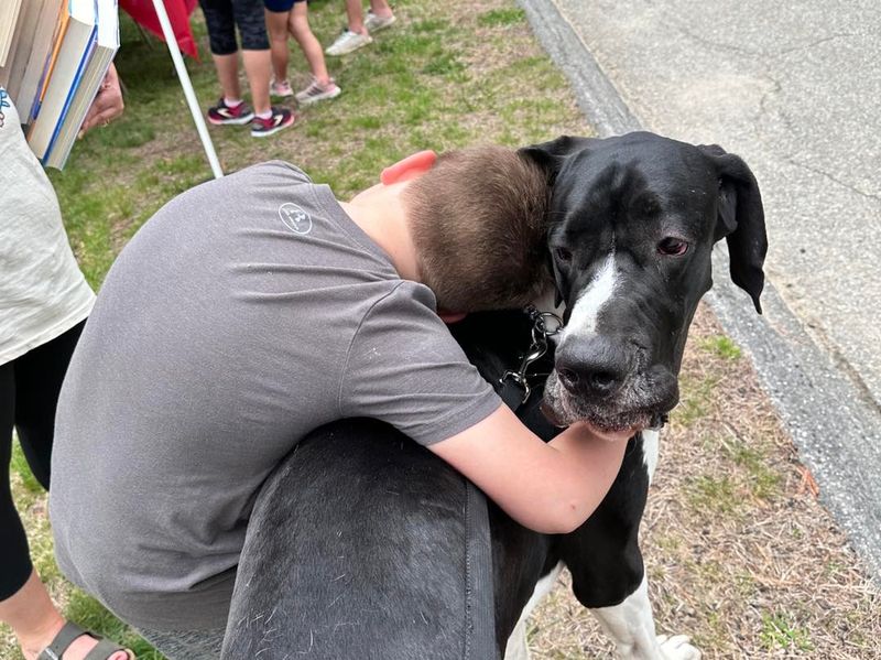 Great Dane