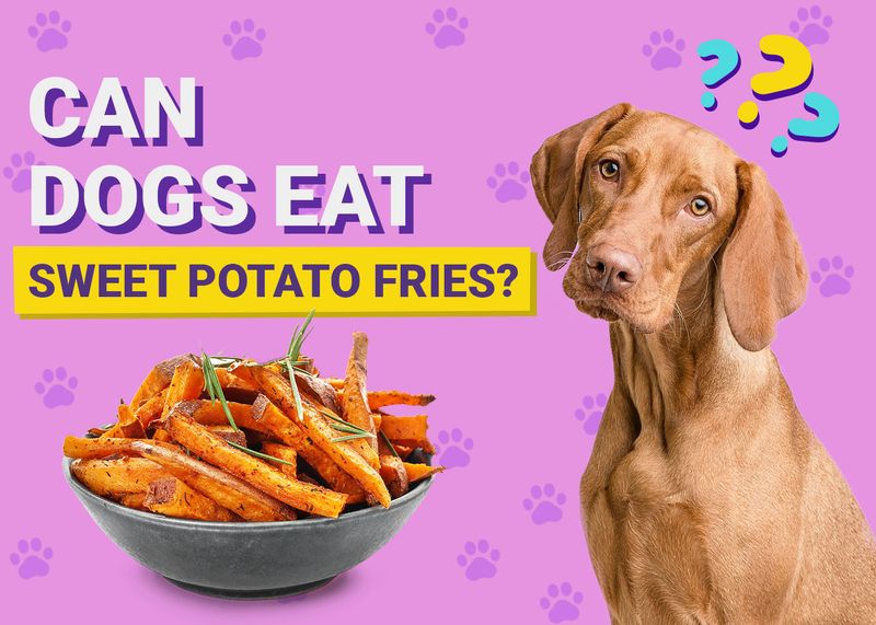 Sweet Potatoes