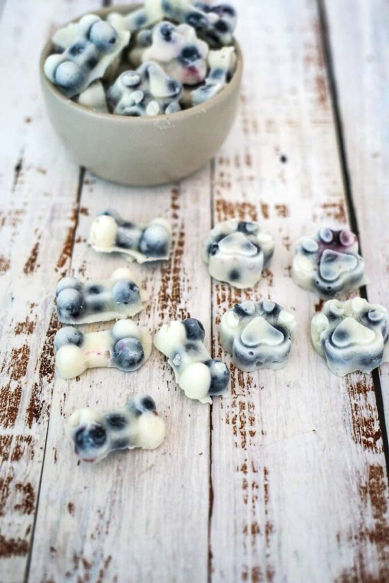 Frozen Yogurt Delights