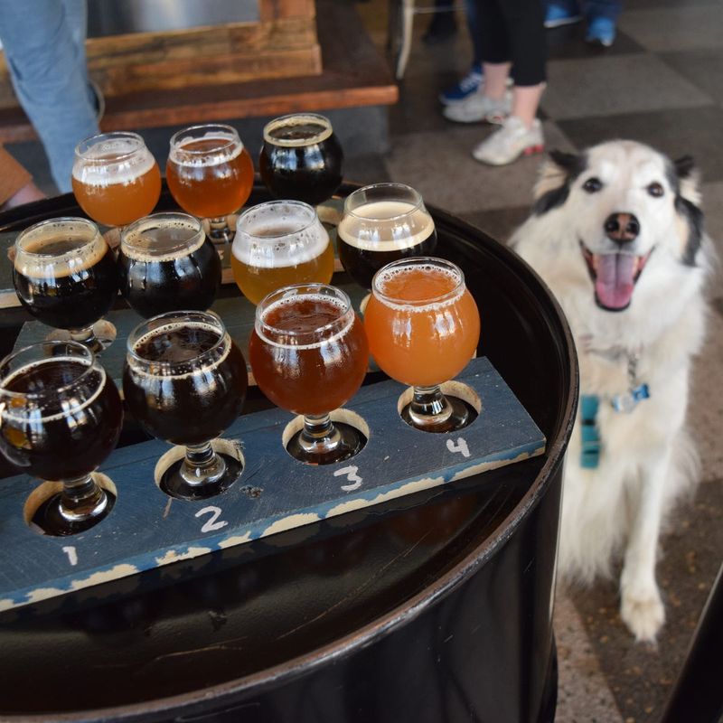 Fido's Brewing