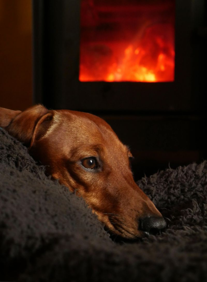 Temperature Control