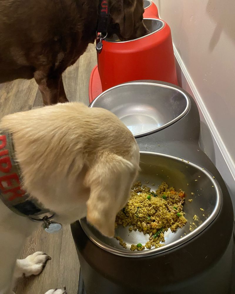 Shared Mealtime Rituals