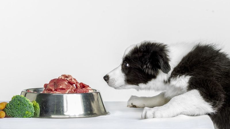 Raw Meat and Fish