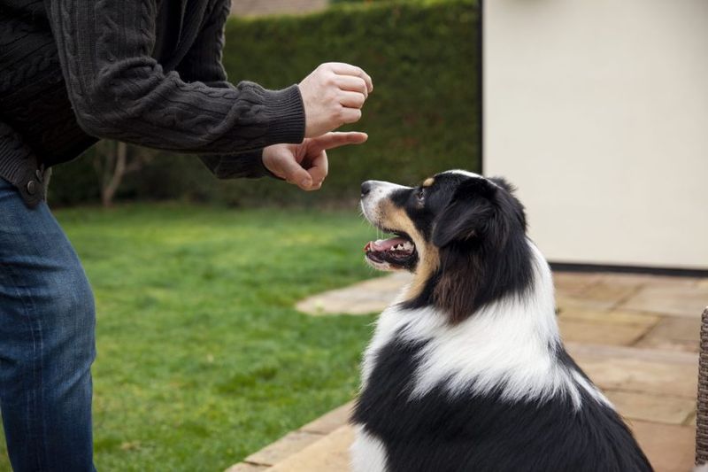 Understanding Gestures