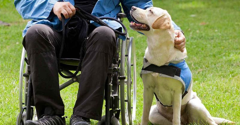 Assists in Special Needs