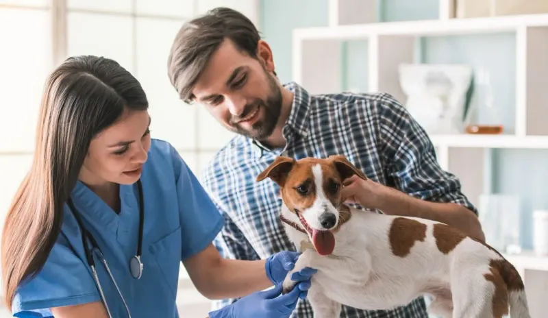 Preventive Healthcare