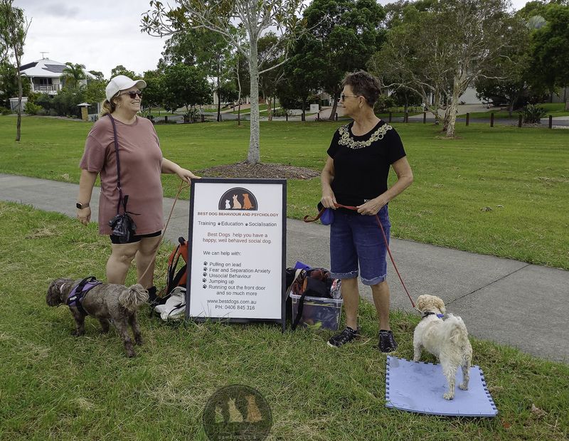 Neglecting Owner Education