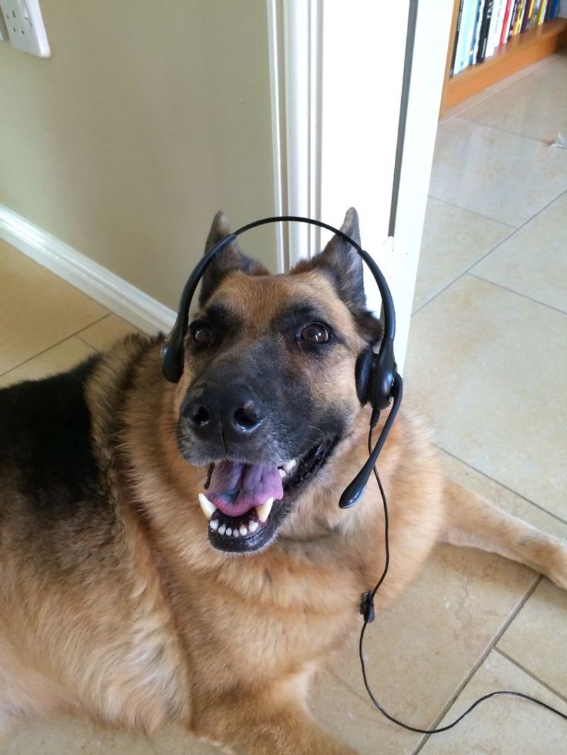 Listening to Music