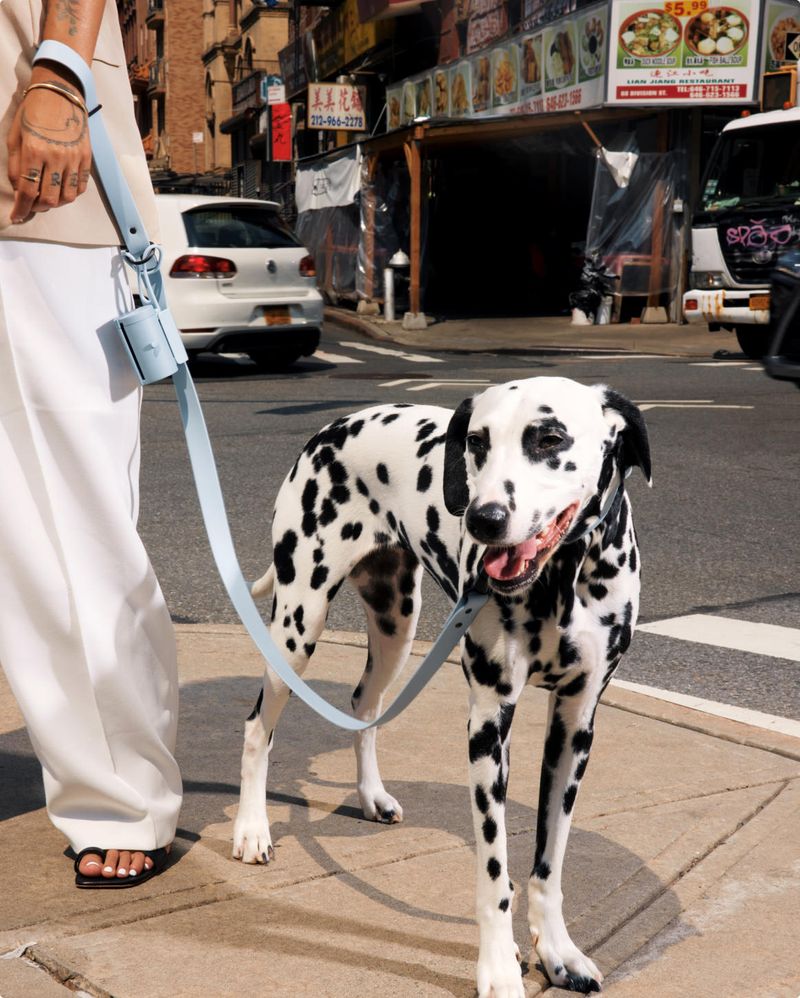 Doggie Waste Bags