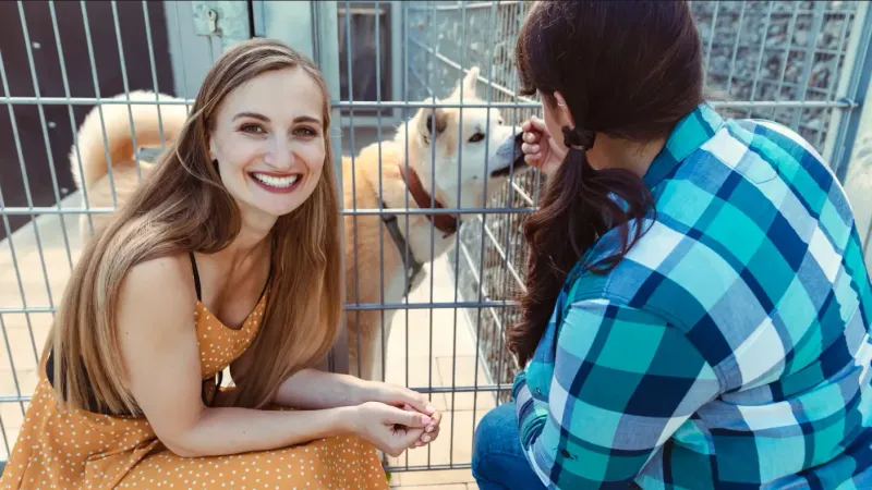 Consider Adoption
