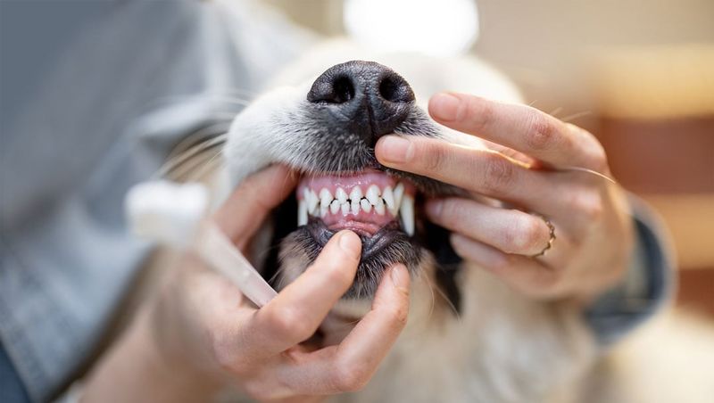 Clean Teeth