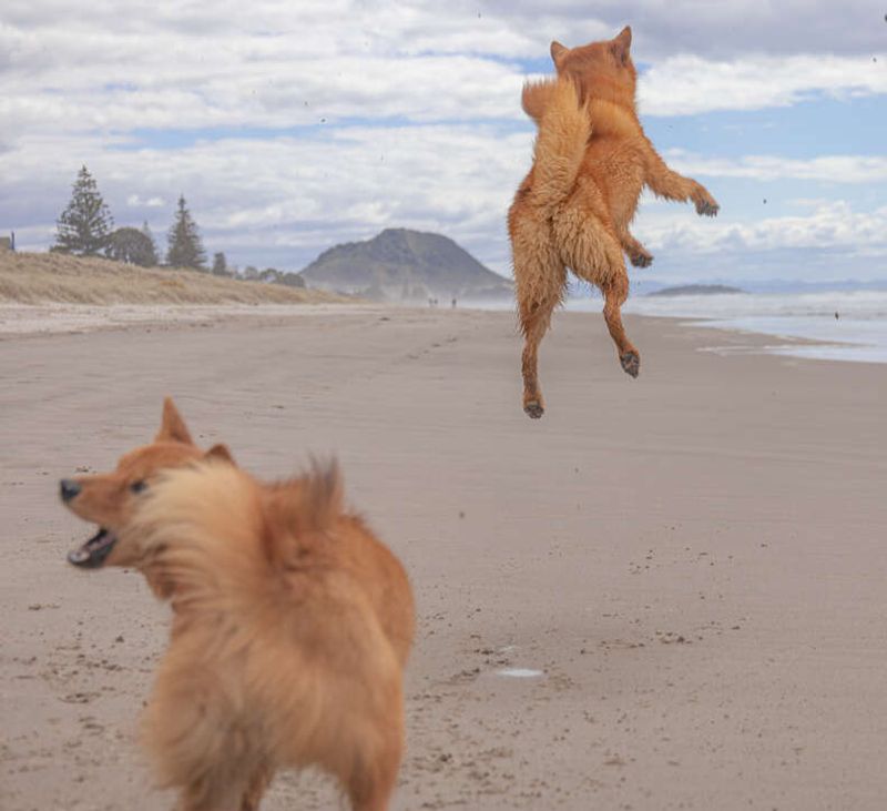 Jumping with Joy