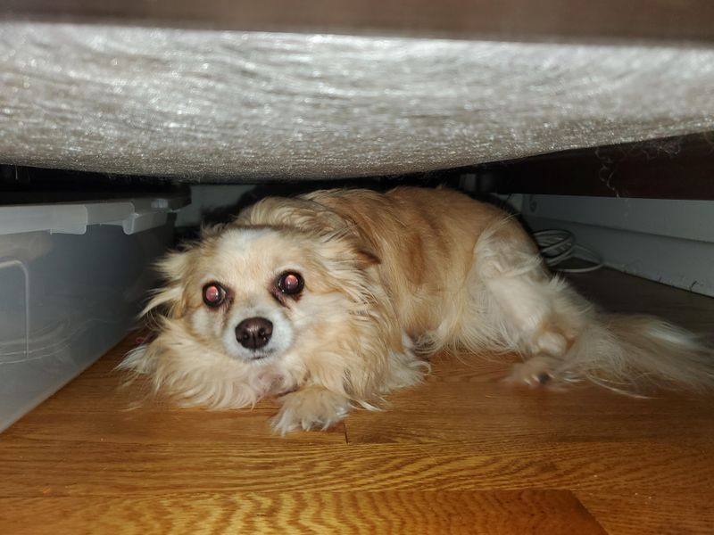 Unusual Hiding
