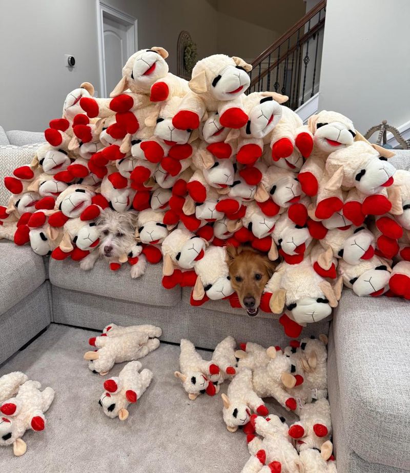 A Viral Toy