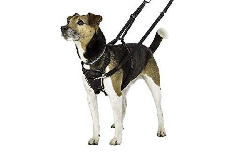 Halti Harness