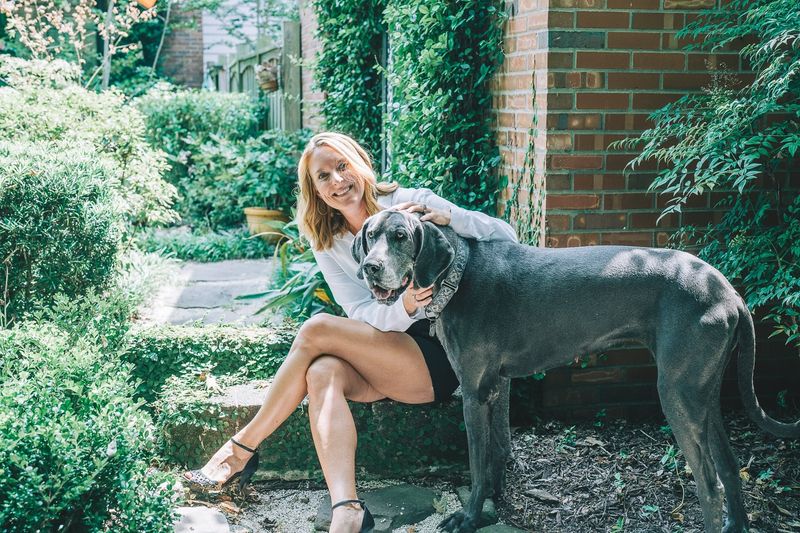 Great Dane