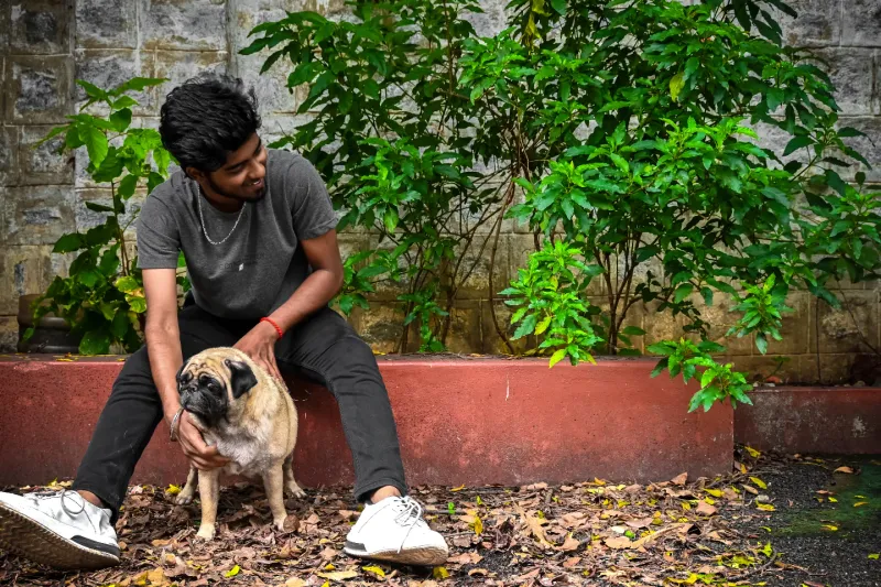 Pug