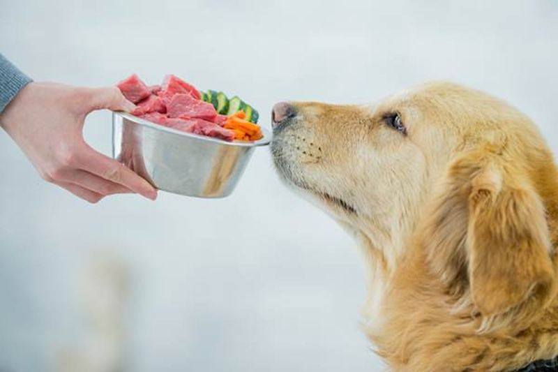 Proper Nutrition
