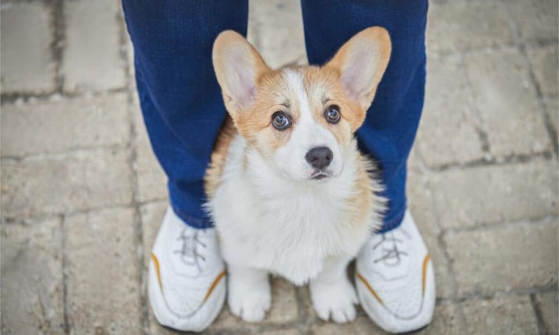 Sitting on Your Feet