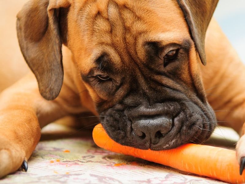 Carrots
