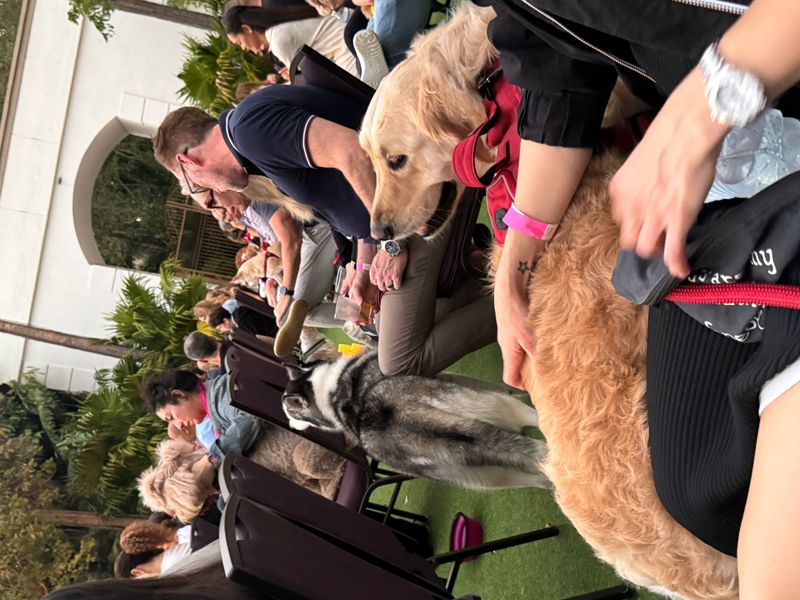 Canine Concert