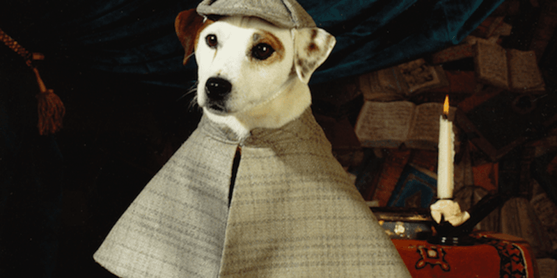 Wishbone