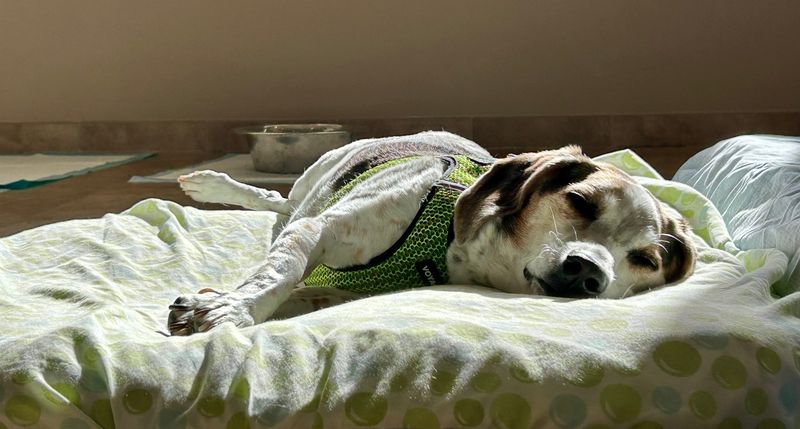 Sleeping More Than Usual