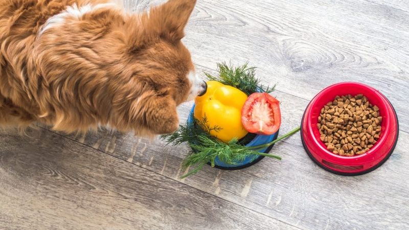 Organic and Natural Foods