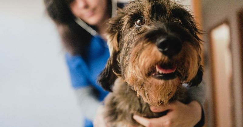 Caring for the Vulnerable
