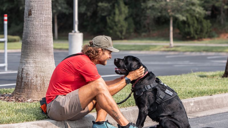 Emotional Support Dogs at Home