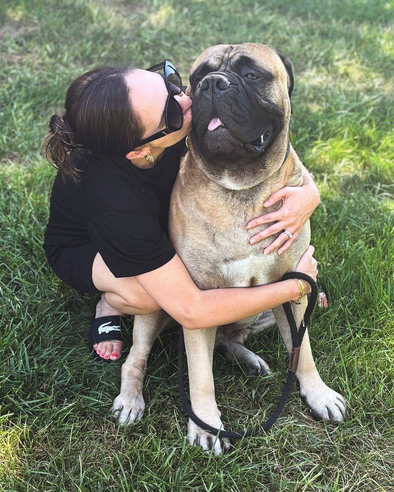 Bullmastiff
