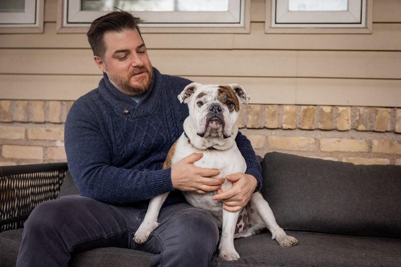 Bulldog