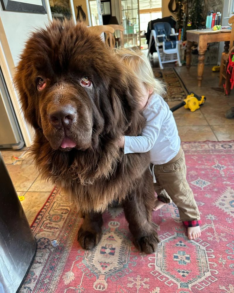 Newfoundland