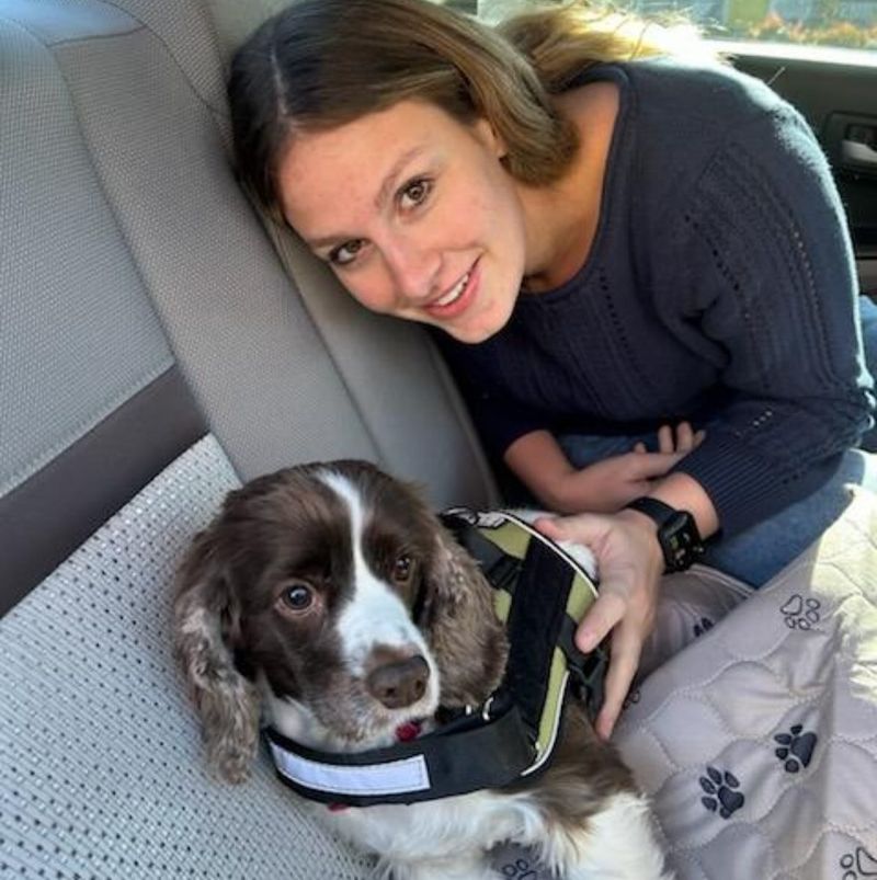 Cocker Spaniel